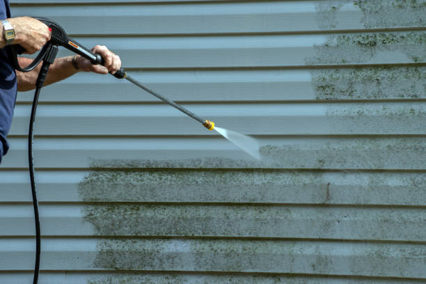 Best Residential Pressure Washing in Kincaid, IL